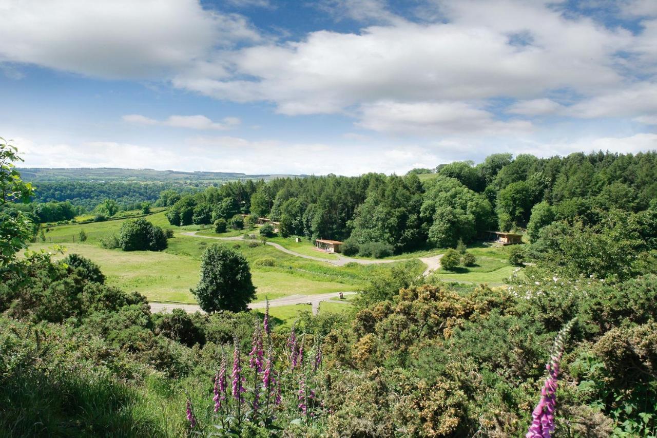 Yorkshire Dales Lodge 10 Ensuite Richmond  Dış mekan fotoğraf